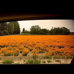 Meet your Posher, Jeremy